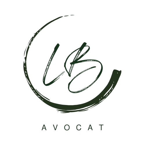 Site internet Barreiro Avocat